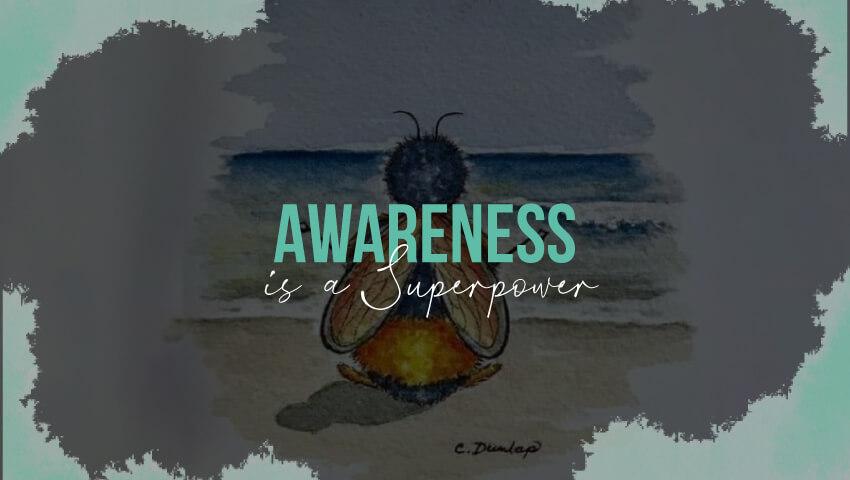 Awareness is a SUPERPOWER by Caryn Katz